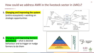 24
How could we address AMR in the livestock sector in LMICs?
1. Changing and improving the system
(entire ecosystem) = working on
strategic opportunities
2. Changing and improving farmers
behaviours = what is desired
behaviour and to trigger or nudge
farmers to do them
 