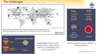 www.cgiar.org Resilient AgriFood Systems (RAFS)
The challenges
Antimicrobial Resistance (AMR) is a
growing problem
Food safety: large burden
comparable to tuberculosis,
malaria, and HIV/AIDS, but
small investment
 