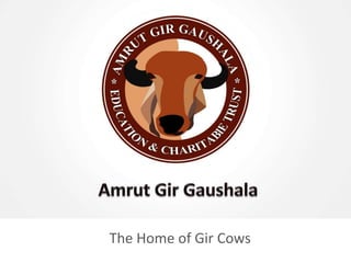 The Home of Gir Cows
 