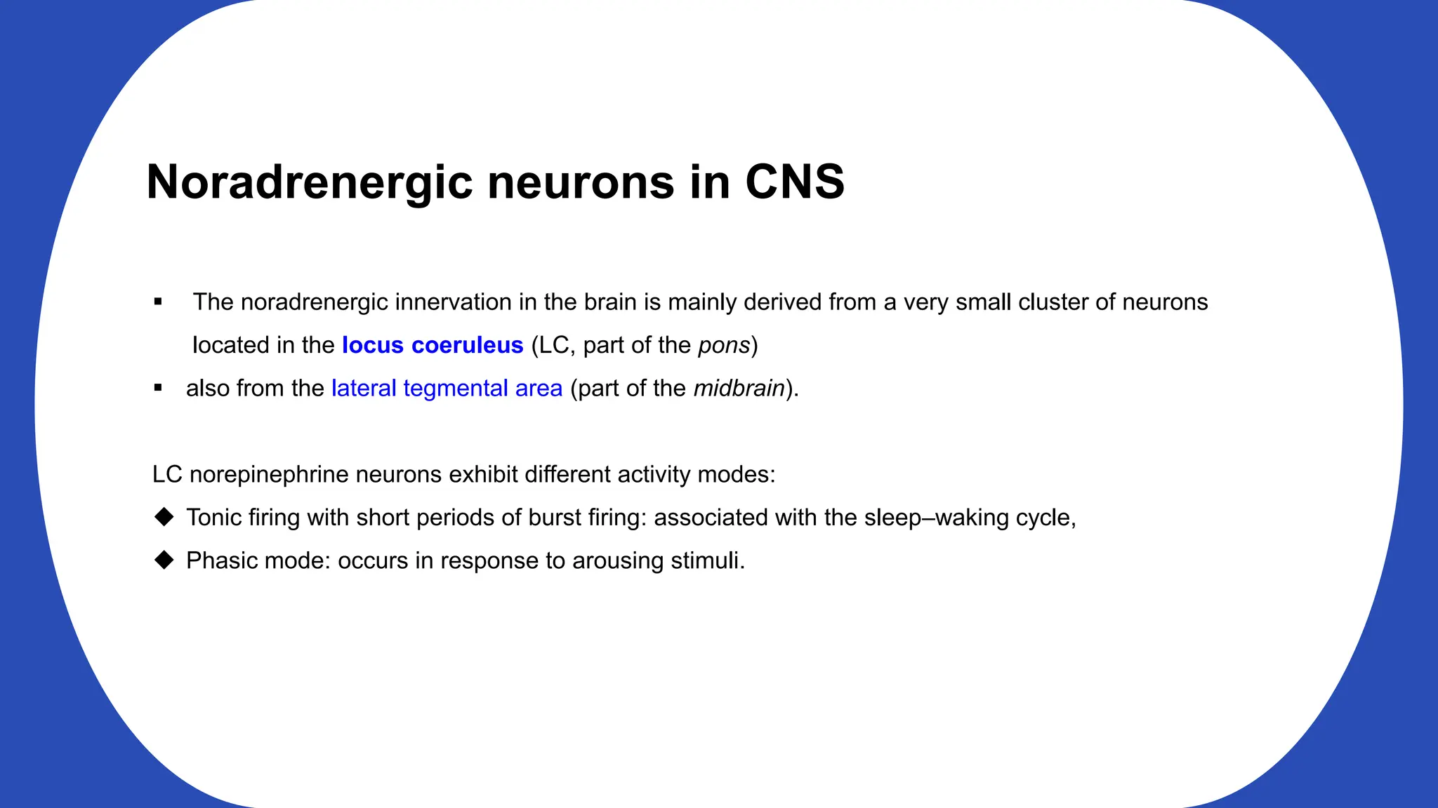 Noradrenergic neurons in CNS
The noradrenergic innervation in the brain is mainly derived from a very small cluster of neurons
located in the locus coeruleus (LC, part of the pons)
also from the lateral tegmental area (part of the midbrain).
LC norepinephrine neurons exhibit different activity modes:
Tonic firing with short periods of burst firing: associated with the sleep–waking cycle,
Phasic mode: occurs in response to arousing stimuli.
