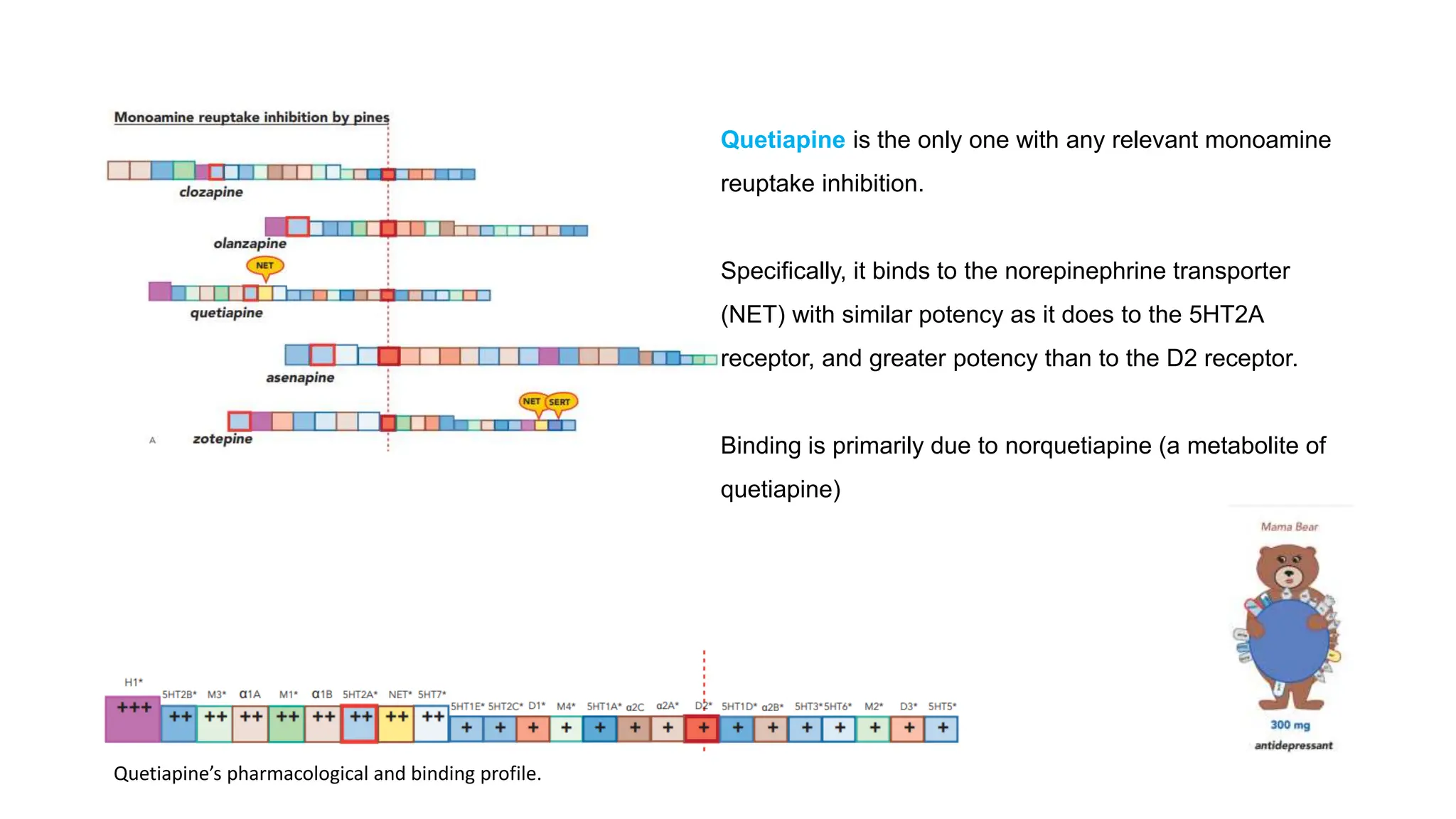 Quetiapine is the only one with any relevant monoamine
reuptake inhibition.
Specifically, it binds to the norepinephrine transporter
(NET) with similar potency as it does to the 5HT2A
receptor, and greater potency than to the D2 receptor.
Binding is primarily due to norquetiapine (a metabolite of
quetiapine)
Quetiapine’s pharmacological and binding profile.
