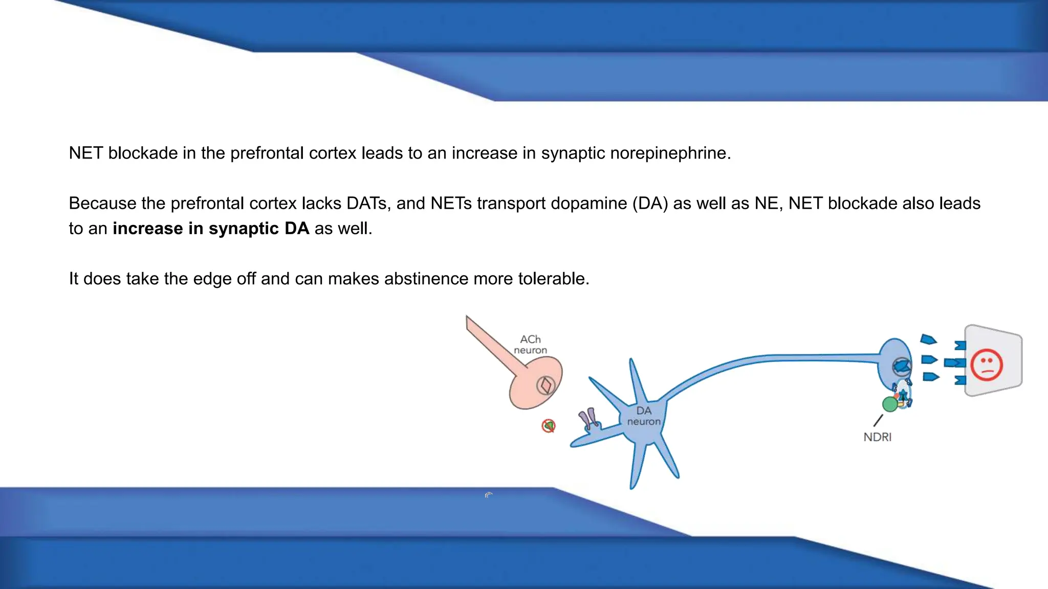 NET blockade in the prefrontal cortex leads to an increase in synaptic norepinephrine.
Because the prefrontal cortex lacks DATs, and NETs transport dopamine (DA) as well as NE, NET blockade also leads
to an increase in synaptic DA as well.
It does take the edge off and can makes abstinence more tolerable.