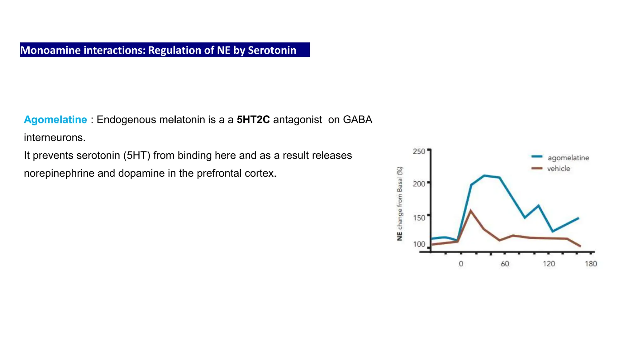 Monoamine interactions: Regulation of NE by Serotonin
Agomelatine : Endogenous melatonin is a a 5HT2C antagonist on GABA
interneurons.
It prevents serotonin (5HT) from binding here and as a result releases
norepinephrine and dopamine in the prefrontal cortex.