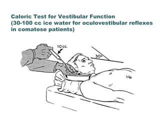 Altered Mental Status and Coma | PPTX | Brain and Nervous System ...