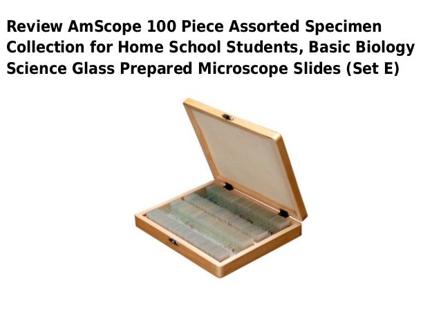 Set B AmScope 100 Home School Biology Prepared Microscope Slides Set B AmScope 100 Home School Biology Prepared Microscope Slides