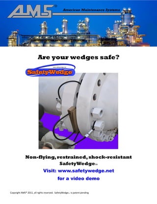 Are your wedges safe?




             Non-flying, restrained, shock-resistant
                          SafetyWedge                                     TM



                             Visit: www.safetywedge.net
                                          for a video demo

Copyright AMS® 2011, all rights reserved. SafetyWedge is patent pending
                                                    TM
 