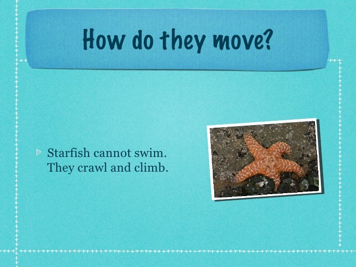 Am starfish project