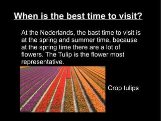 When is the best time to visit?
 At the Nederlands, the bast time to visit is
 at the spring and summer time, because
 at the spring time there are a lot of
 flowers. The Tulip is the flower most
 representative.



                                Crop tulips
 