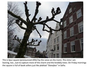 This is Spui square (pronounced SPAUI by the voice on the tram). This time I am
leaning, too…Just to capture more of the charm and the knobbly trees. On Friday mornings
the square is full of book sellers just like plo6tad “Slavejkov” in Sofia.

 