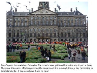Dam Square the next day – Saturday. The crowds have gathered for tulips, music and a show.
There are thousands of tulips covering the square and it is January! A lovely day (according to
local standards – 7 degrees above 0 and no rain!

 