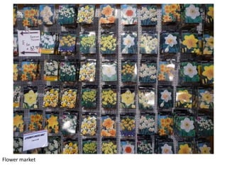 Flower market

 