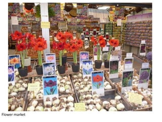 Flower market

 