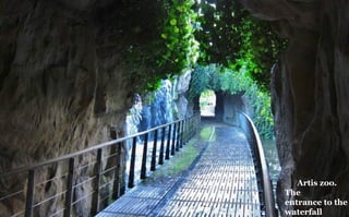 Artis zoo.
The
entrance to the
waterfall
 