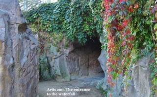 Artis zoo. The entrance
to the waterfall
 
