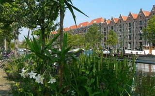 AMSTERDAM.
