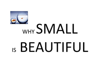 WHY SMALL
IS BEAUTIFUL
 