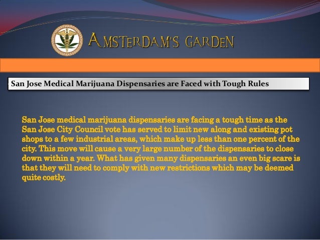 Amsterdam S Garden