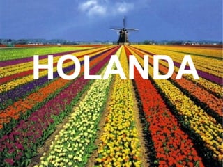 HOLANDA 