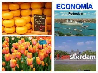 Temperatura media anual varía entre os 2ºC en xaneiro e os 17ºC en xullo. 