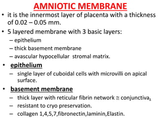 Amniotic membrane transplantation | PPTX