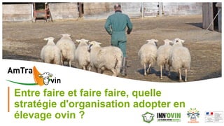 1
Entre faire et faire faire, quelle
stratégie d'organisation adopter en
élevage ovin ?
 