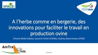 A l’herbe comme en bergerie, des
innovations pour faciliter le travail en
production ovine
Vincent Bellet (Idele), Laurent Fichet (CAPdL), Audrey Desormeaux (FNO)
15/09/2021
 