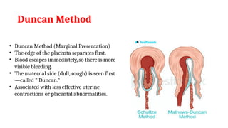 Active Management of Third Stage of Labor.pptx