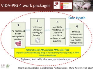 Antimicrobial resistance and antimicrobial use initiatives in agricultural food system in Vietnam