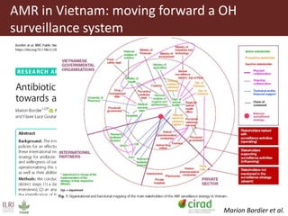 Antimicrobial resistance and antimicrobial use initiatives in agricultural food system in Vietnam