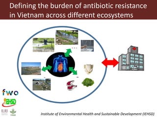 Antimicrobial resistance and antimicrobial use initiatives in agricultural food system in Vietnam