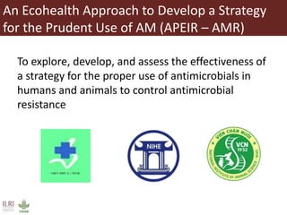 Antimicrobial resistance and antimicrobial use initiatives in agricultural food system in Vietnam