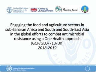 Antimicrobial resistance and antimicrobial use initiatives in agricultural food system in Vietnam