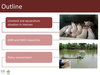 Antimicrobial resistance and antimicrobial use initiatives in agricultural food system in Vietnam