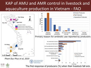 Antimicrobial resistance and antimicrobial use initiatives in agricultural food system in Vietnam