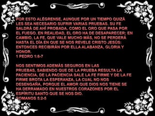 POR ESTO ALÉGRENSE, AUNQUE POR UN TIEMPO QUIZÁ LES SEA NECESARIO SUFRIR VARIAS PRUEBAS. SU FE SALDRÁ DE AHÍ PROBADA, COMO EL ORO QUE PASA POR EL FUEGO. EN REALIDAD, EL ORO HA DE DESAPARECER; EN CAMBIO, LA FE, QUE VALE MUCHO MÁS, NO SE PERDERÁ HASTA EL DÍA EN QUE SE NOS REVELE CRISTO JESÚS: ENTONCES RECIBIRÁN POR ELLA ALABANZA, GLORIA Y HONOR.1 PEDRO 1:6-7 NOS SENTIMOS ADEMÁS SEGUROS EN LAS PRUEBAS, SABIENDO QUE DE LA PRUEBA RESULTA LA PACIENCIA, DE LA PACIENCIA SALE LA FE FIRME Y DE LA FE FIRME BROTA LA ESPERANZA, LA CUAL NO NOS DESENGAÑA, PORQUE EL AMOR QUE DIOS NOS TIENE SE HA DERRAMADO EN NUESTROS CORAZONES POR EL ESPÍRITU SANTO QUE SE NOS DIO.ROMANOS 5:2-5