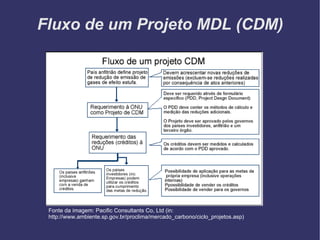 Fluxo de um Projeto MDL (CDM)‏ Fonte da imagem: Pacific Consultants Co, Ltd (in: http://www.ambiente.sp.gov.br/proclima/mercado_carbono/ciclo_projetos.asp)‏ 