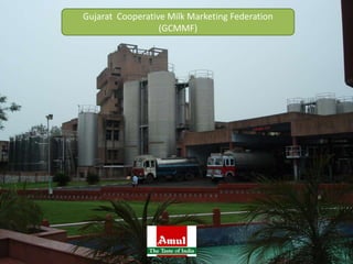 Gujarat  Cooperative Milk Marketing Federation (GCMMF) 