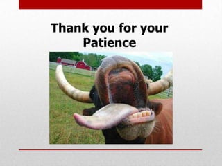 Thank you for your
    Patience
 
