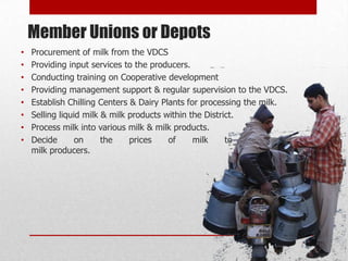 Member Unions or Depots
•   Procurement of milk from the VDCS
•   Providing input services to the producers.
•   Conducting training on Cooperative development
•   Providing management support & regular supervision to the VDCS.
•   Establish Chilling Centers & Dairy Plants for processing the milk.
•   Selling liquid milk & milk products within the District.
•   Process milk into various milk & milk products.
•   Decide       on     the    prices    of     milk     to    be    paid   to
    milk producers.
 