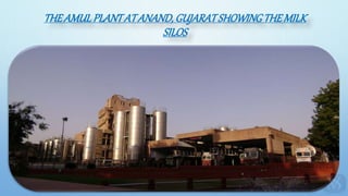 THEAMULPLANTATANAND,GUJARATSHOWINGTHEMILK
SILOS
 