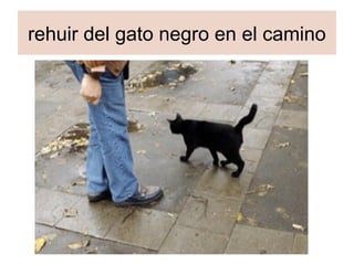 rehuir del gato negro en el camino
 