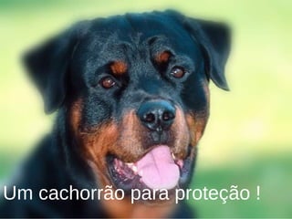 Um cachorrão para proteção !
 