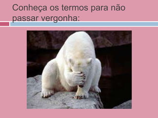 Conheça os termos para não
passar vergonha:
 
