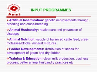 INPUT PROGRAMMES

Artificial Insemination: genetic improvements through
breeding and cross-breeding
Animal Husbandry: health care and prevention of
diseases
Animal Nutrition: supply of balanced cattle feed, urea-
molasses-blocks, mineral mixtures
Fodder Developments: distribution of seeds for
development of green and dry fodder
Training & Education: clean milk production, business
process, better animal husbandry practices etc
 