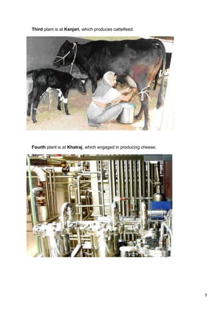 3
Third plant is at Kanjari, which produces cattelfeed.
Fourth plant is at Khatraj, which engaged in producing cheese.
 