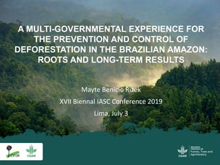 Mayte Benicio Rizek
XVII Biennal IASC Conference 2019
Lima, July 3
A MULTI-GOVERNMENTAL EXPERIENCE FOR
THE PREVENTION AND CONTROL OF
DEFORESTATION IN THE BRAZILIAN AMAZON:
ROOTS AND LONG-TERM RESULTS
 