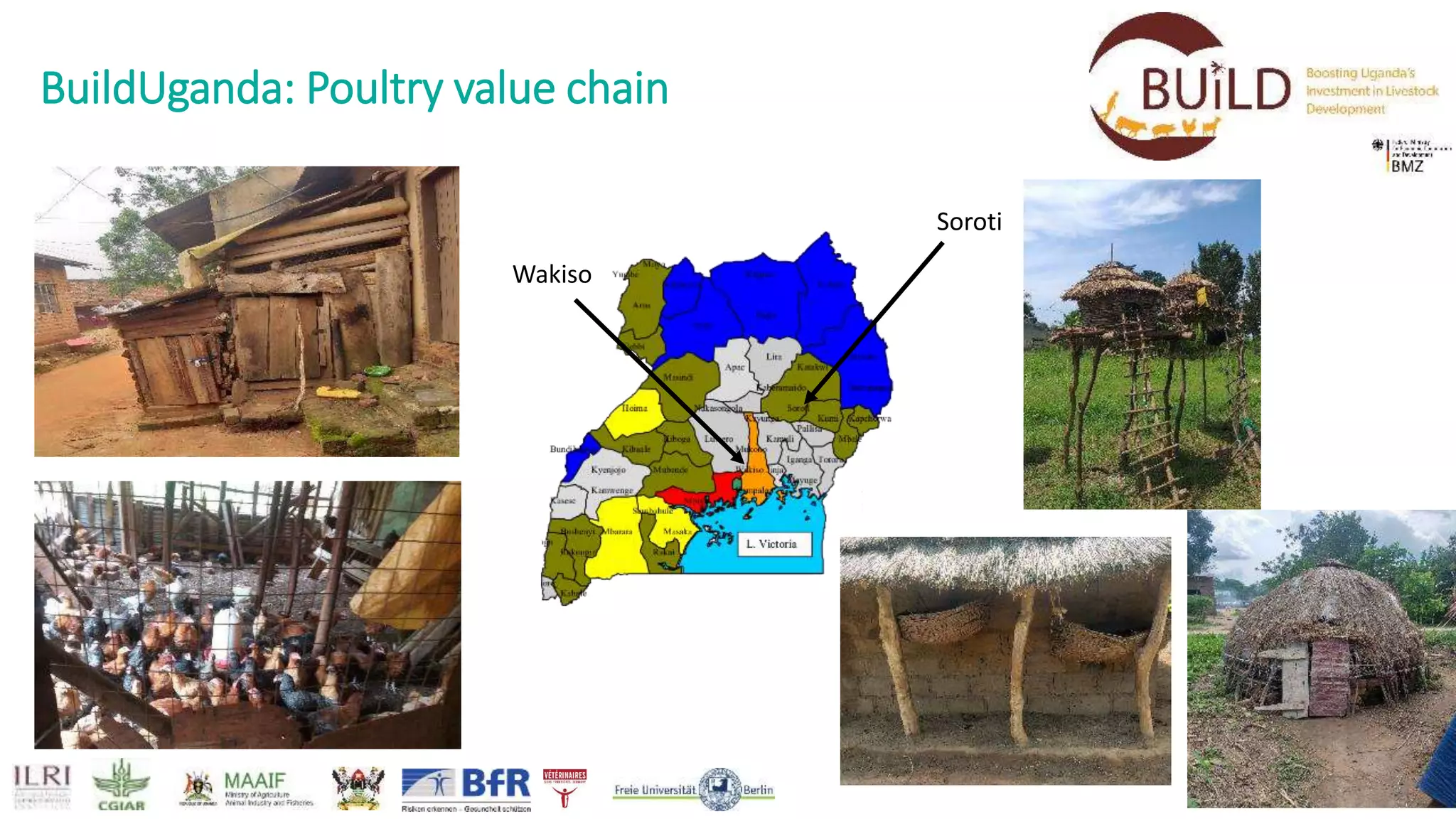 BuildUganda: Poultry value chain
Soroti
Wakiso
 