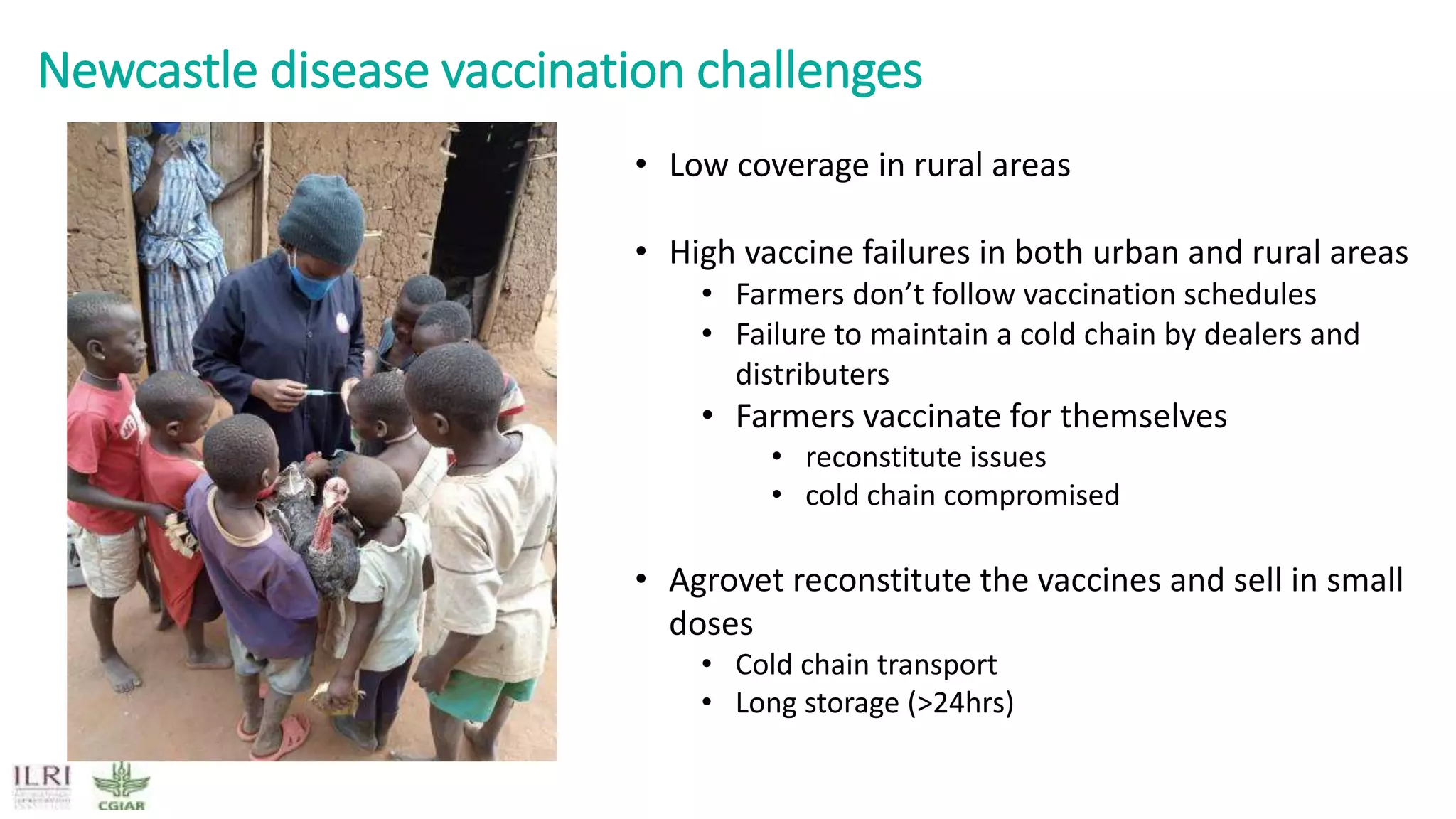 Newcastle disease vaccination challenges
• Low coverage in rural areas
• High vaccine failures in both urban and rural areas
• Farmers don’t follow vaccination schedules
• Failure to maintain a cold chain by dealers and
distributers
• Farmers vaccinate for themselves
• reconstitute issues
• cold chain compromised
• Agrovet reconstitute the vaccines and sell in small
doses
• Cold chain transport
• Long storage (>24hrs)
 