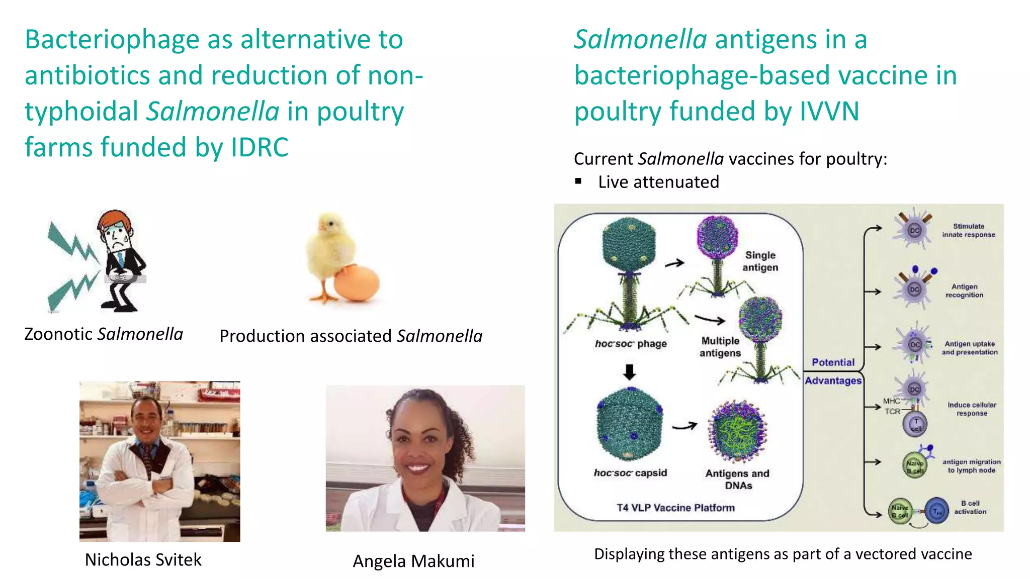 Zoonotic Salmonella Production associated Salmonella
Bacteriophage as alternative to
antibiotics and reduction of non-
typhoidal Salmonella in poultry
farms funded by IDRC
Salmonella antigens in a
bacteriophage-based vaccine in
poultry funded by IVVN
Current Salmonella vaccines for poultry:
 Live attenuated
Displaying these antigens as part of a vectored vaccine
Angela Makumi
Nicholas Svitek
 
