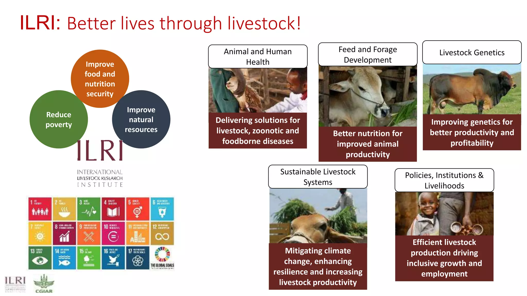 ILRI: Better lives through livestock!
Reduce
poverty
Improve
food and
nutrition
security
Improve
natural
resources
Mitigating climate
change, enhancing
resilience and increasing
livestock productivity
Sustainable Livestock
Systems
Delivering solutions for
livestock, zoonotic and
foodborne diseases
Animal and Human
Health
Efficient livestock
production driving
inclusive growth and
employment
Policies, Institutions &
Livelihoods
Improving genetics for
better productivity and
profitability
Livestock Genetics
Better nutrition for
improved animal
productivity
Feed and Forage
Development
 